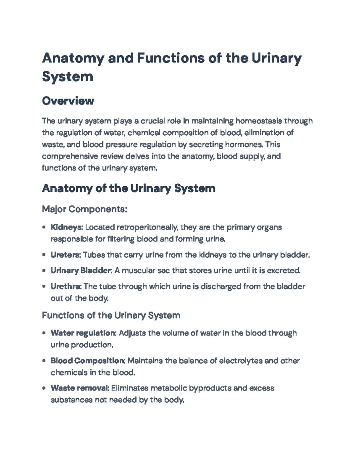 Anatomy and Functions of the Urinary System: A Comprehensive Overview ...