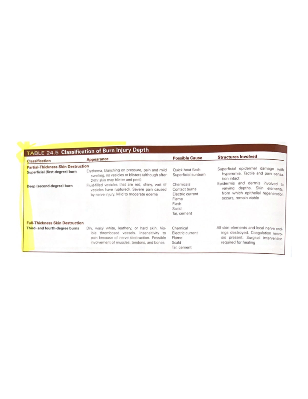 Table 24.5 Classification of Burn Injury Depth - RNSG2119 - Studocu