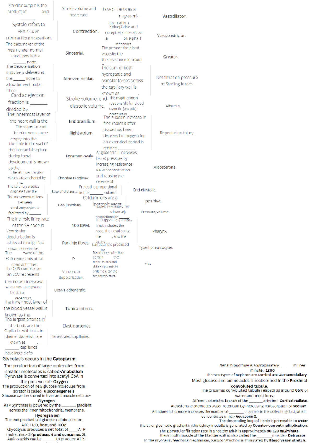 Cardiac Physiology Overview: Key Concepts and Mechanisms (BIO 101 ...