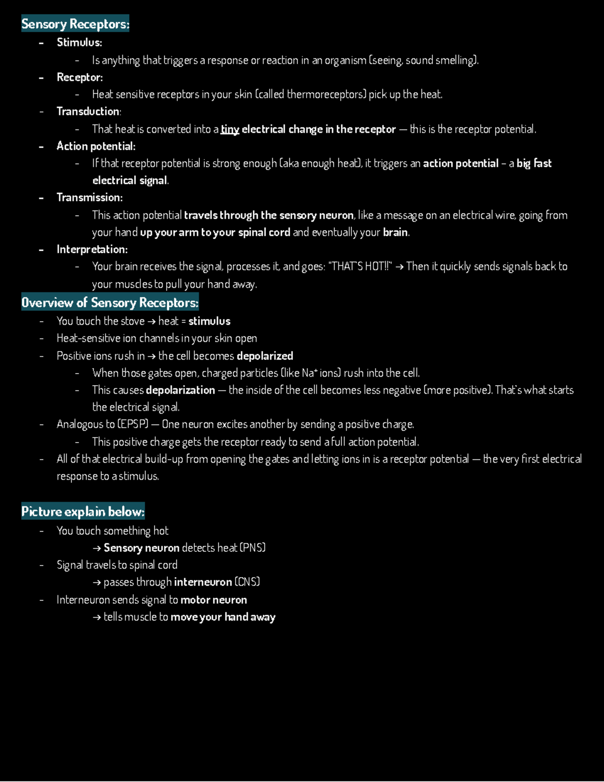 Sensory Receptors Notes: Understanding Organism Responses - Studocu