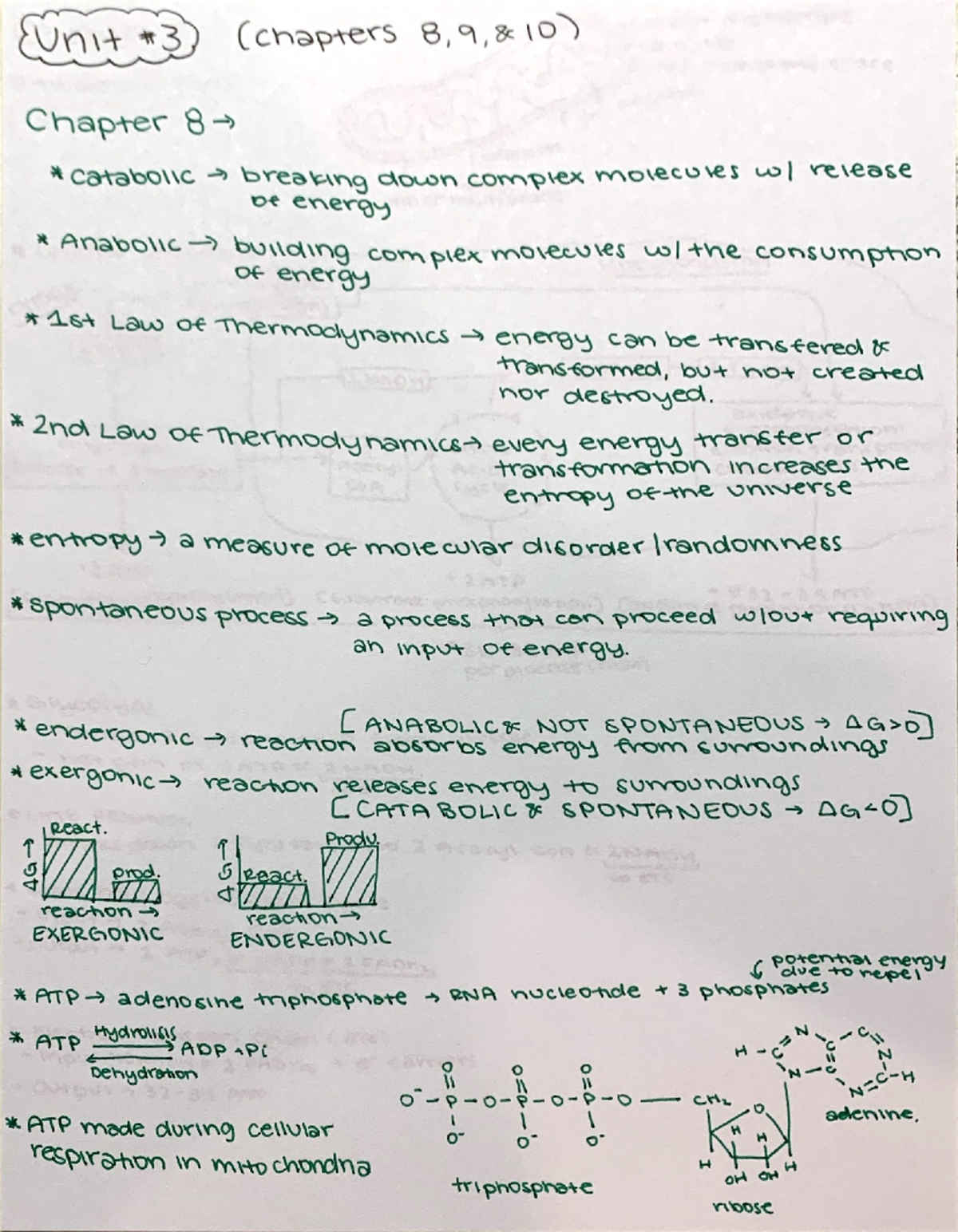 Unit 3 Master Guide - Random thing - Unit 3 (chapters 8, 9, 10) Chapter ...