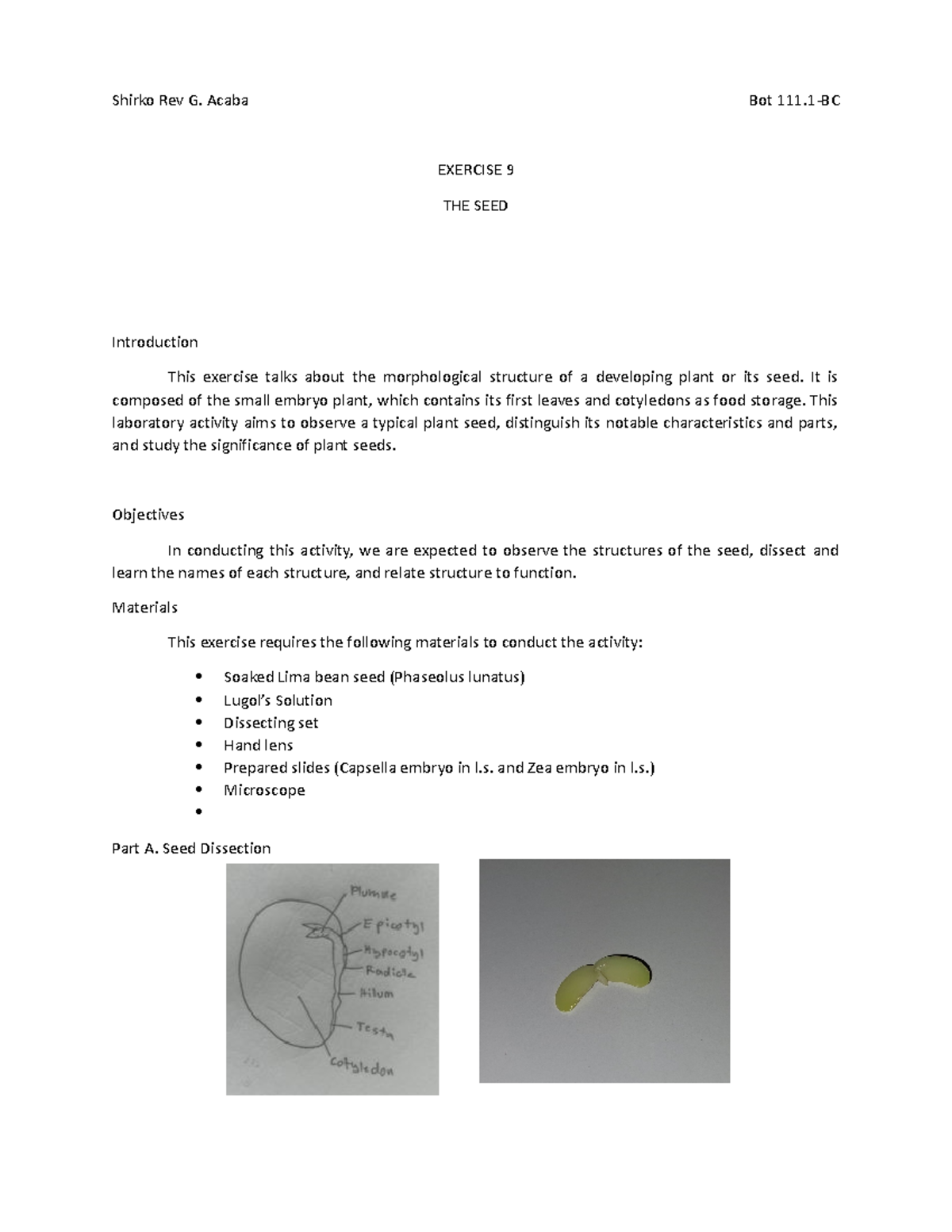 Bot 111 - Exercise 9: Morphological Study of Plant Seeds - Studocu