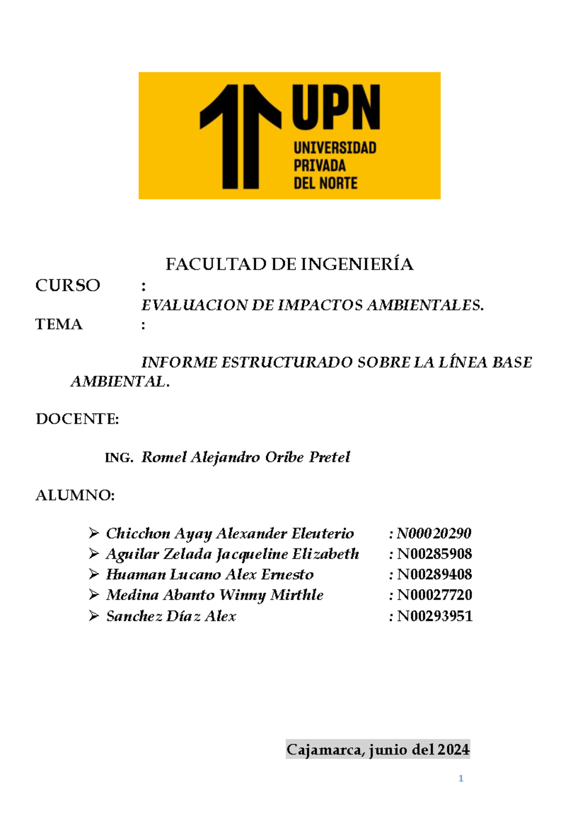 Informe Estructurado sobre Línea Base Ambiental - EIA 2024 - Document Preview