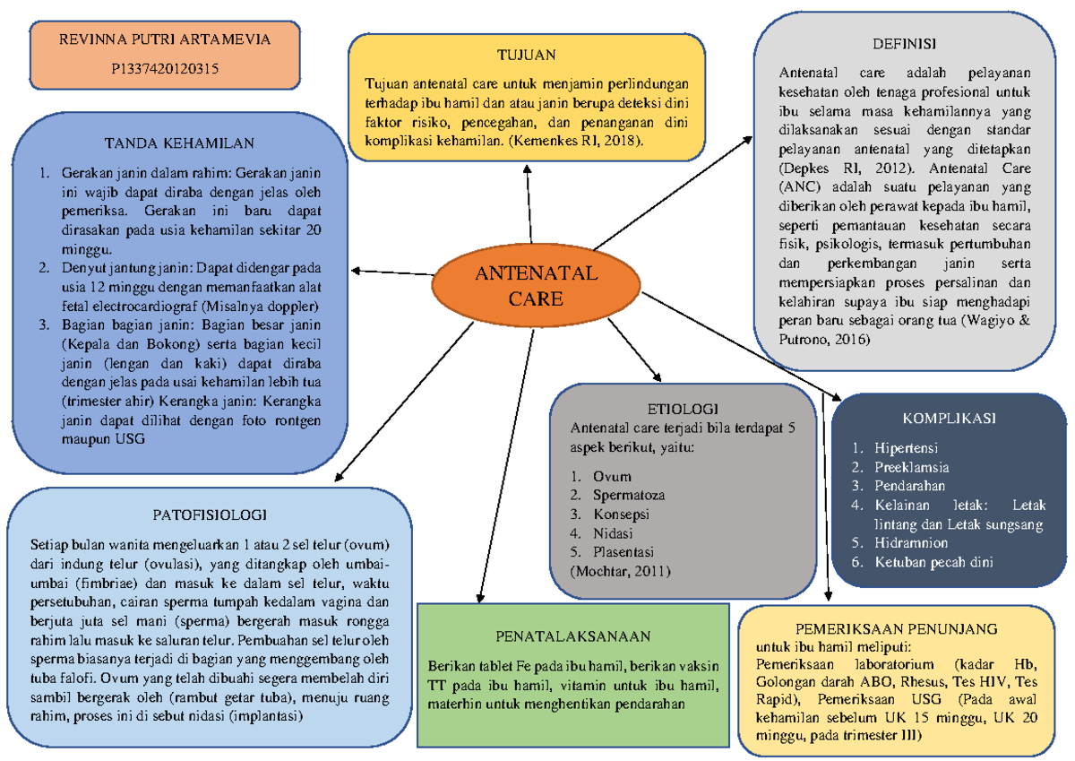 WOC ANC: Layanan dan Aspek Perawatan Ibu Hamil - Document Preview