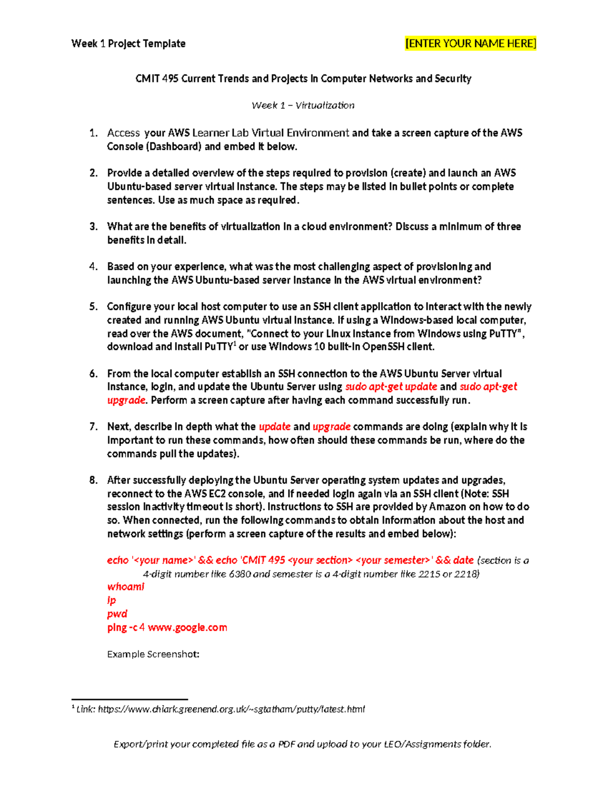 Project 1 Virtualization Assignment Template (2252) - Week 1 Project ...