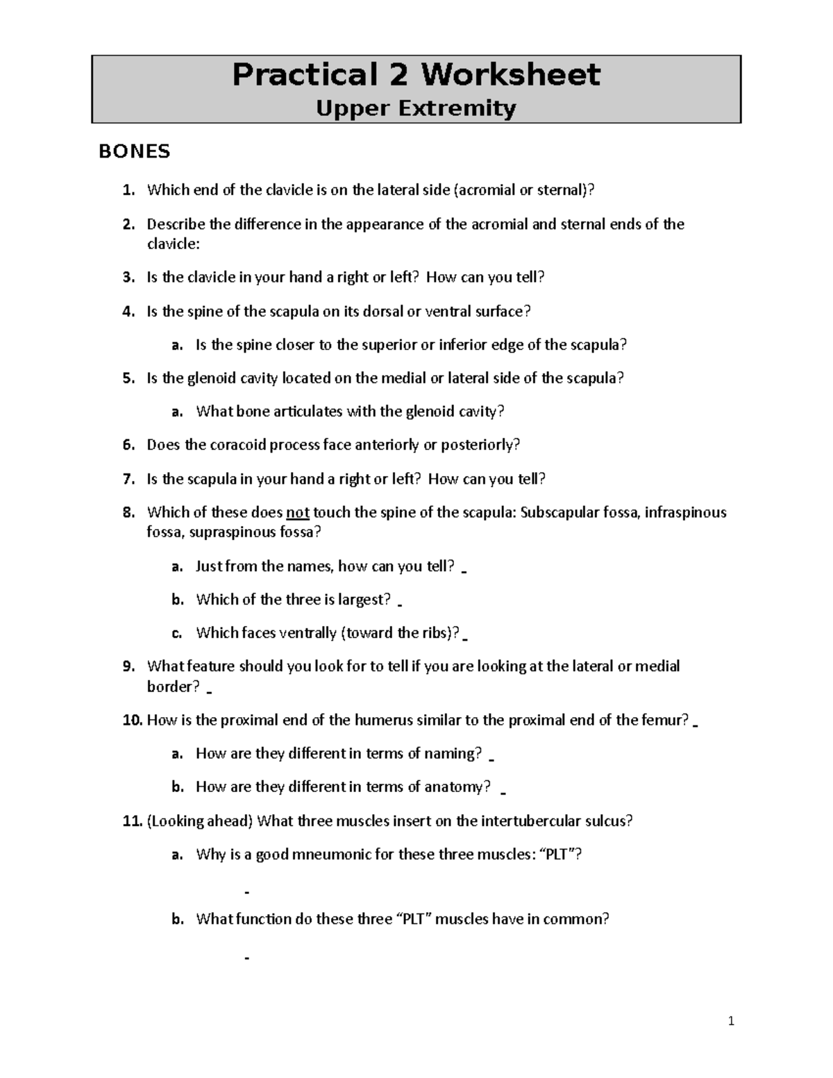 201 Practical 2 Worksheet: Upper Extremity Bones & Muscles Guide - Studocu