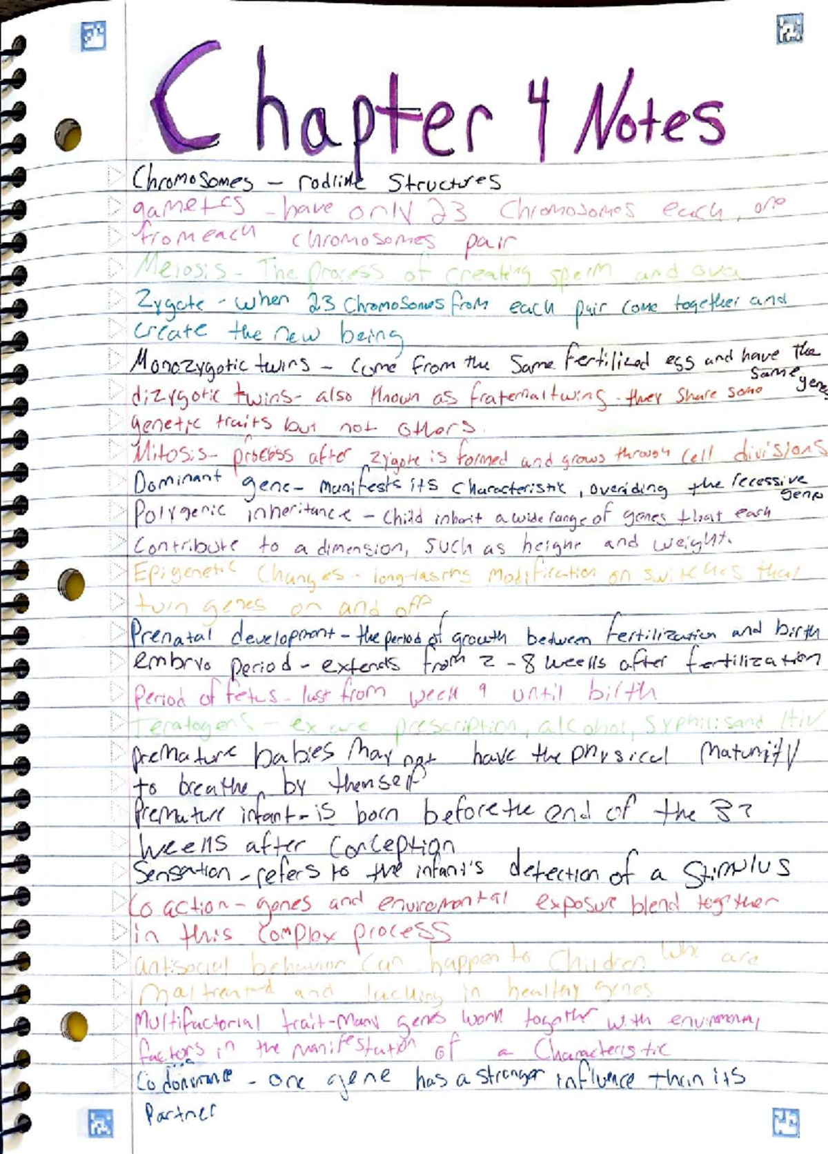Final Review Guidelines for Course ed58498a - •,·,, :-.-;::· :••.> ,r ...