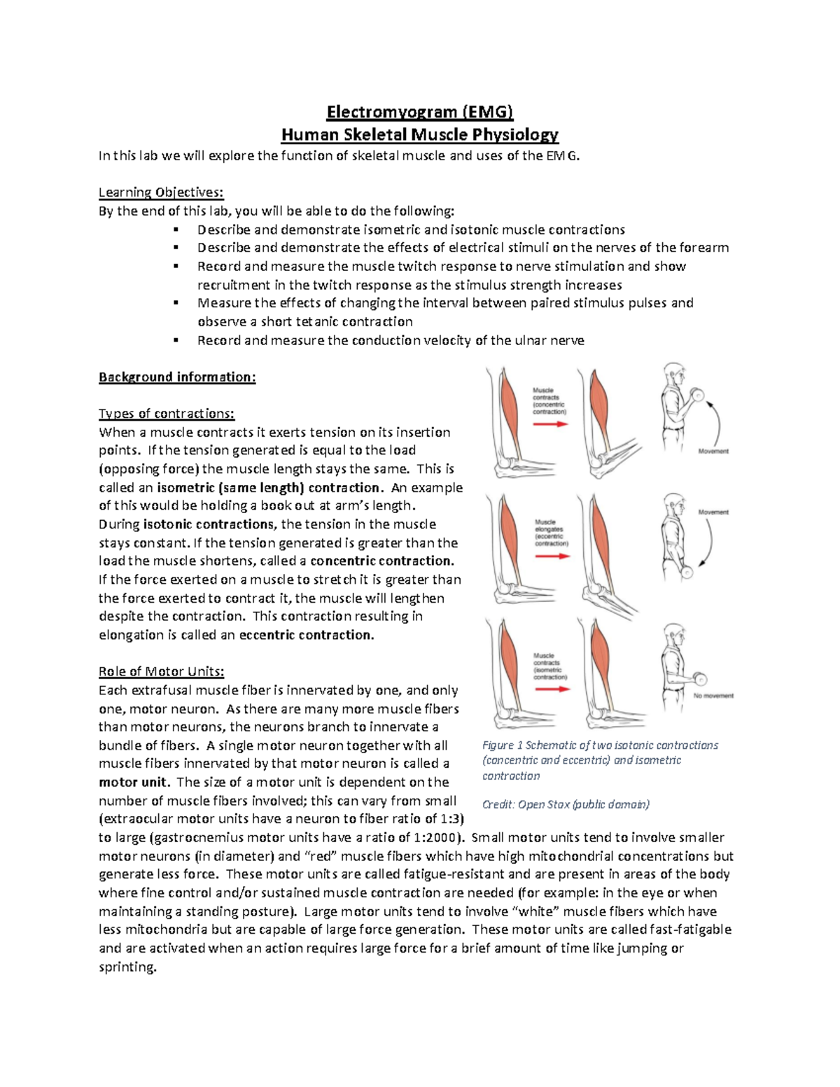 EMG Lab Report: Human Skeletal Muscle Physiology Exploration - Studocu