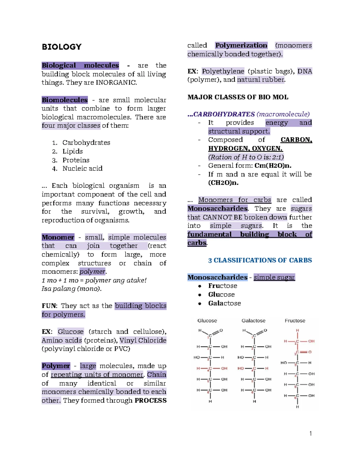 BIO 101: Plant Cell Parts and Functions Overview - Studocu