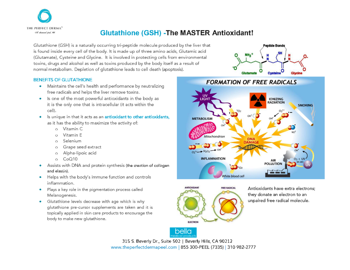 Glutathione (GSH): Master Antioxidant Benefits and Functions 080420 -  Studocu