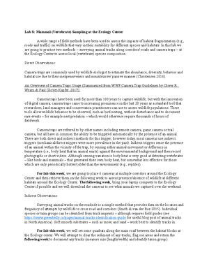 Lab7-Sweep nets Pitfall traps - Lab 7: Terrestrial Invert Sampling The ...