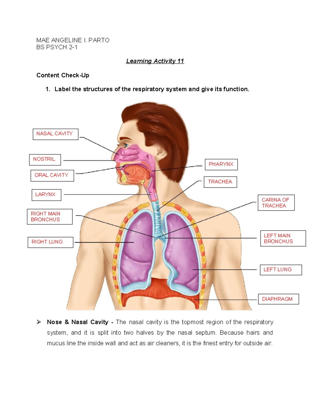 Learning Activity 11 - MAE ANGELINE I. PARTO BS PSYCH 2- Learning ...