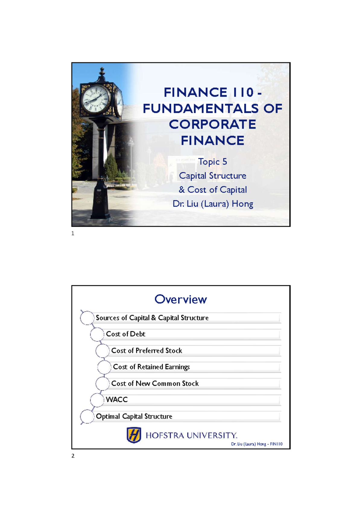 FIN110 Final Exam Notes: Capital Structure & Cost of Capital - FINANCE ...