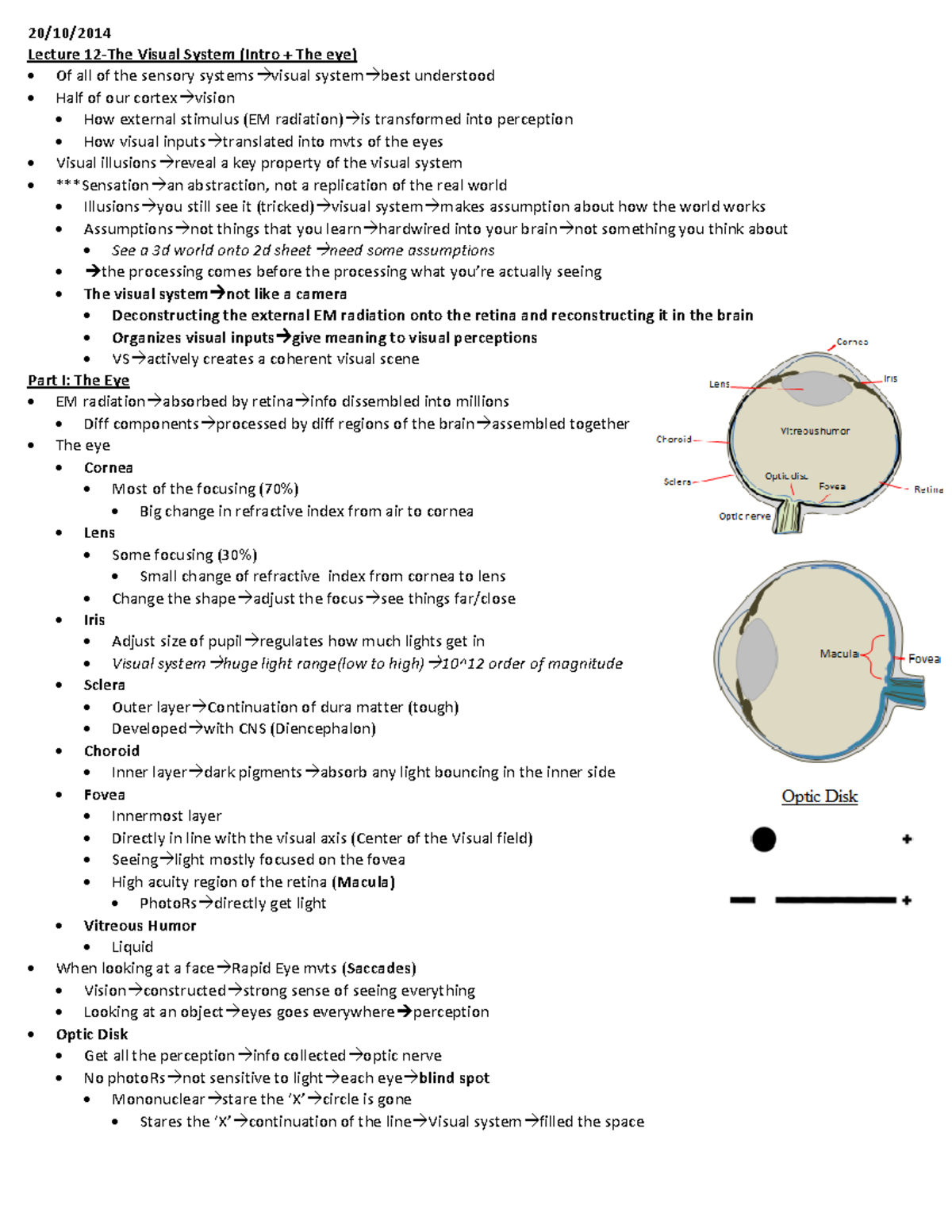 **Lecture 12-15: Overview of the Visual System and Color Vision** - Studocu