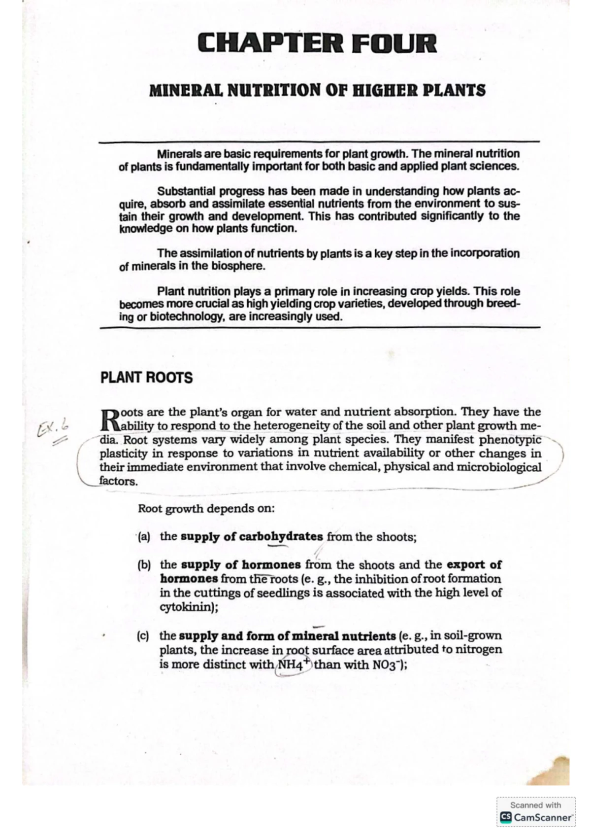 BOT 20 Final Exam Study Notes - Photosynthesis and Metabolism - Studocu