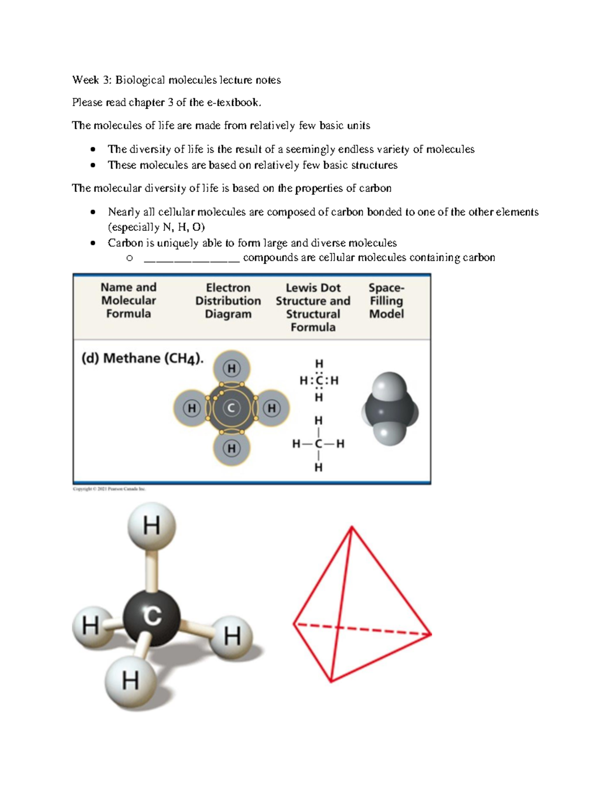 Week 3: Lecture Notes on Biological Molecules and Their Diversity - Studocu