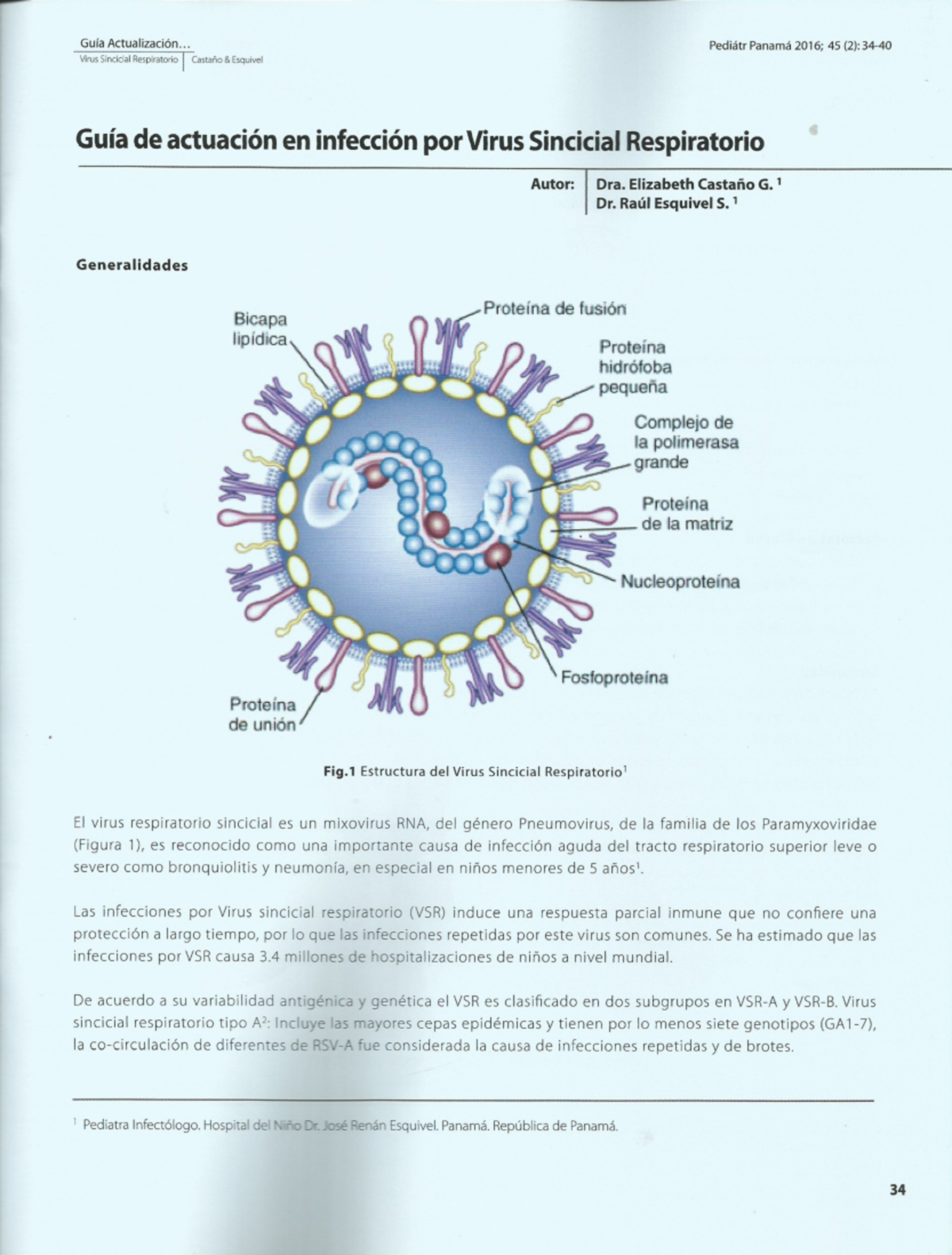 Virus sincitial respiratorio 1 - Gufla Actualizacion... Pediatr Panama ...