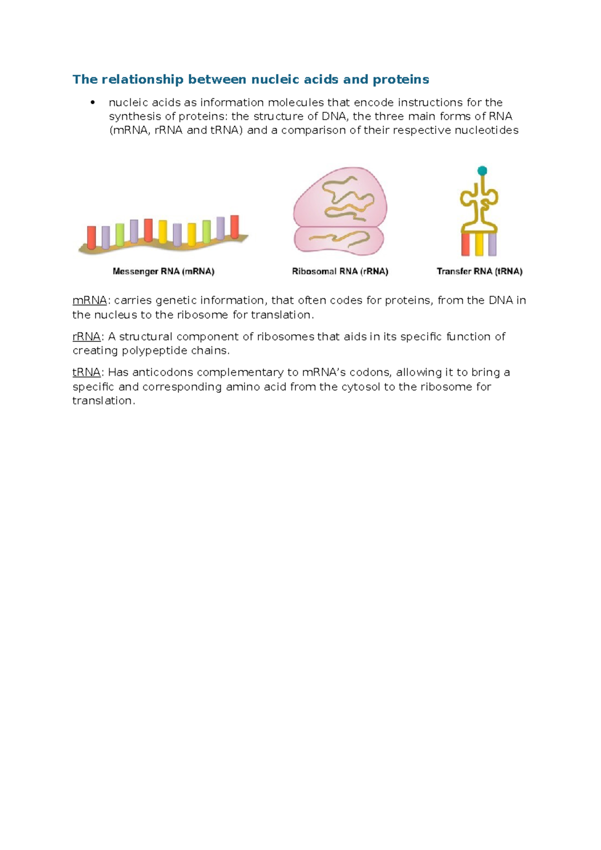 BIO101: Nucleic Acids & Proteins - Structure, Function, and Gene ...