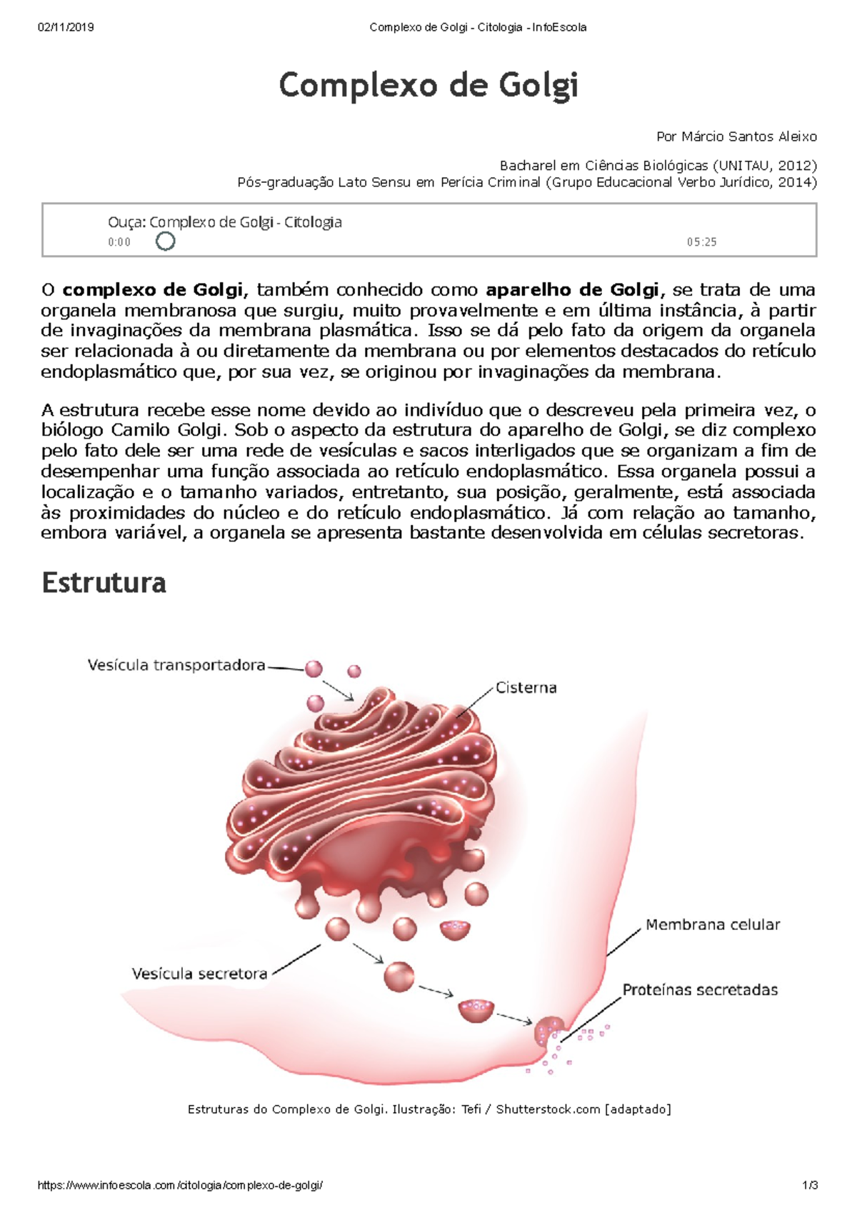 Complexo De Golgi Citologia Infoescola
