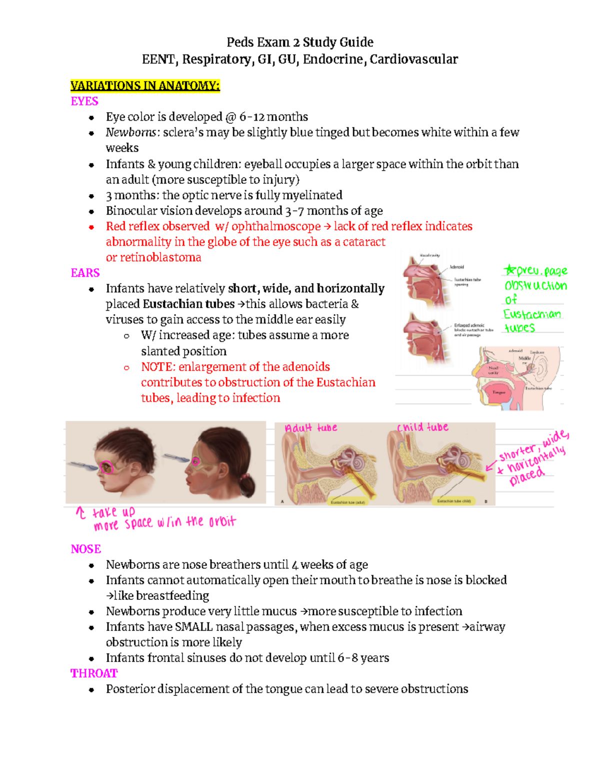 NEW Peds Exam 2 SG - Study guide - Peds Exam 2 Study Guide EENT ...