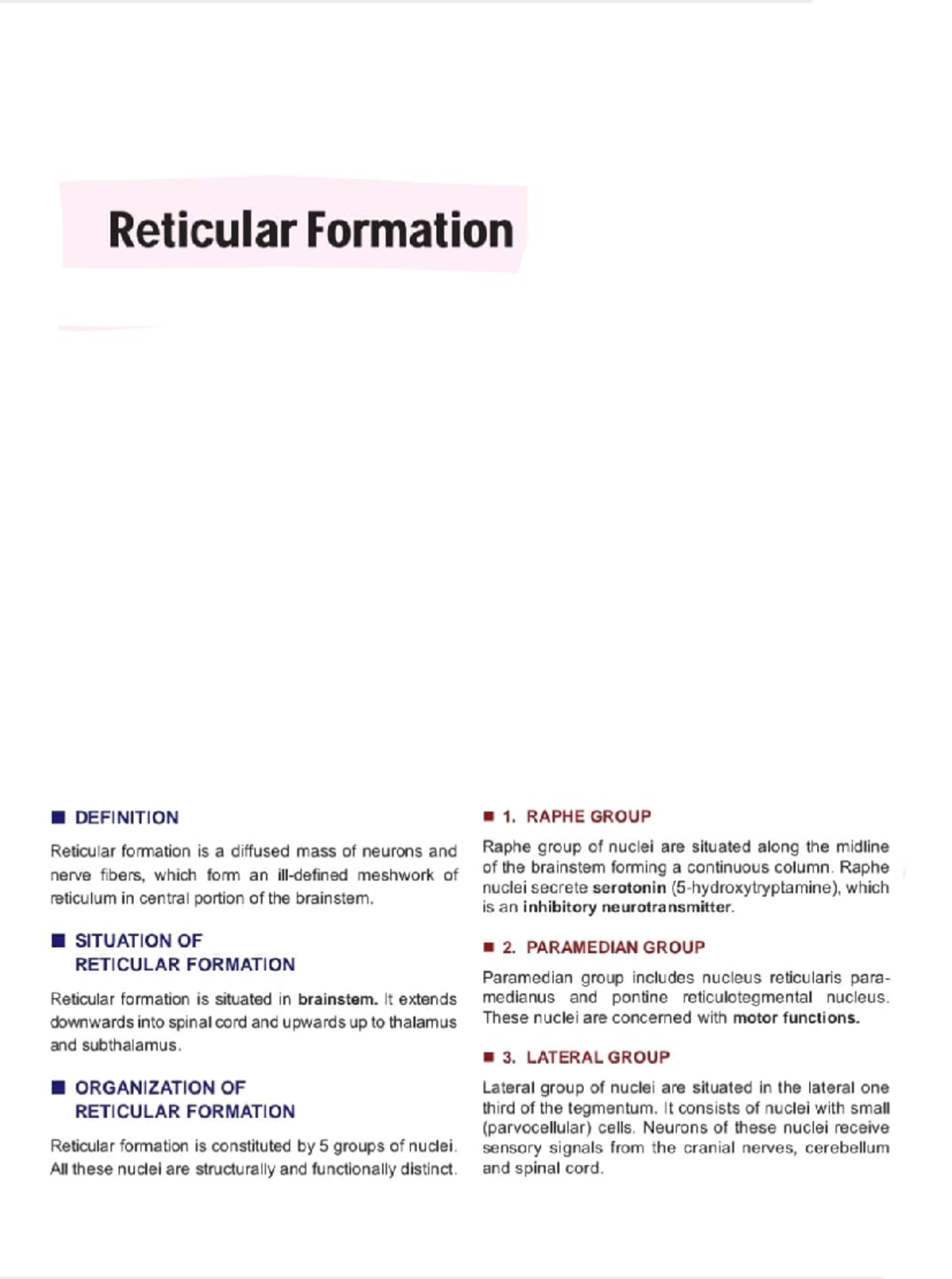 Reticular Formation and Reticular Activating System Overview - Studocu