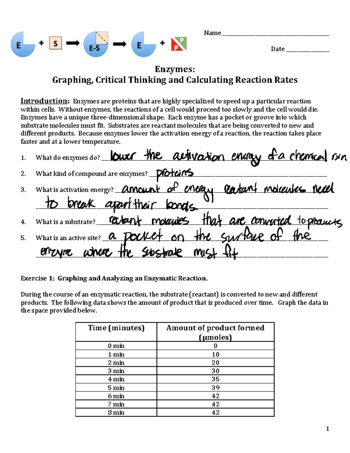 Enzymes+Graphing+Activity ! 1! Name!! ! Date!! ! Enzymes!!! Studocu