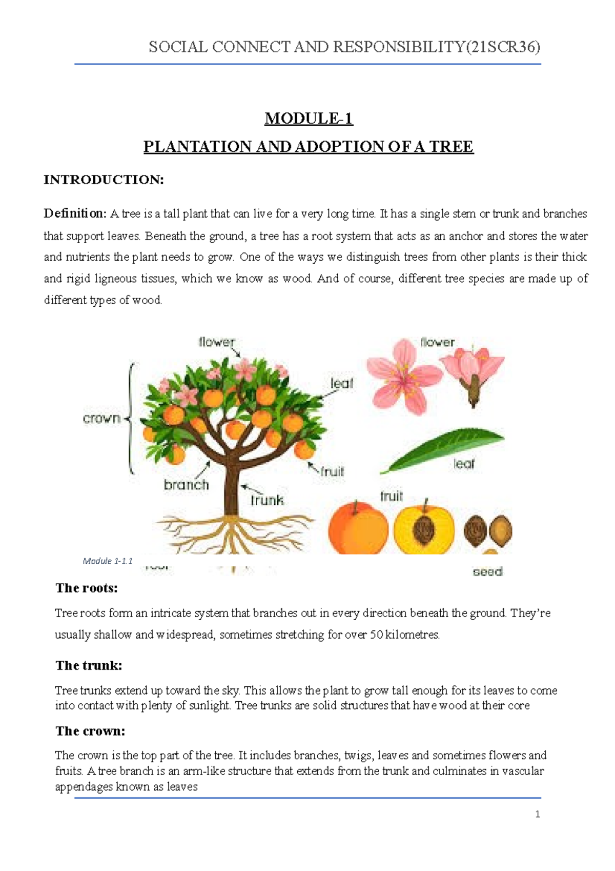 Tree Plantation and Adoption: Ecological and Community Benefits - Studocu
