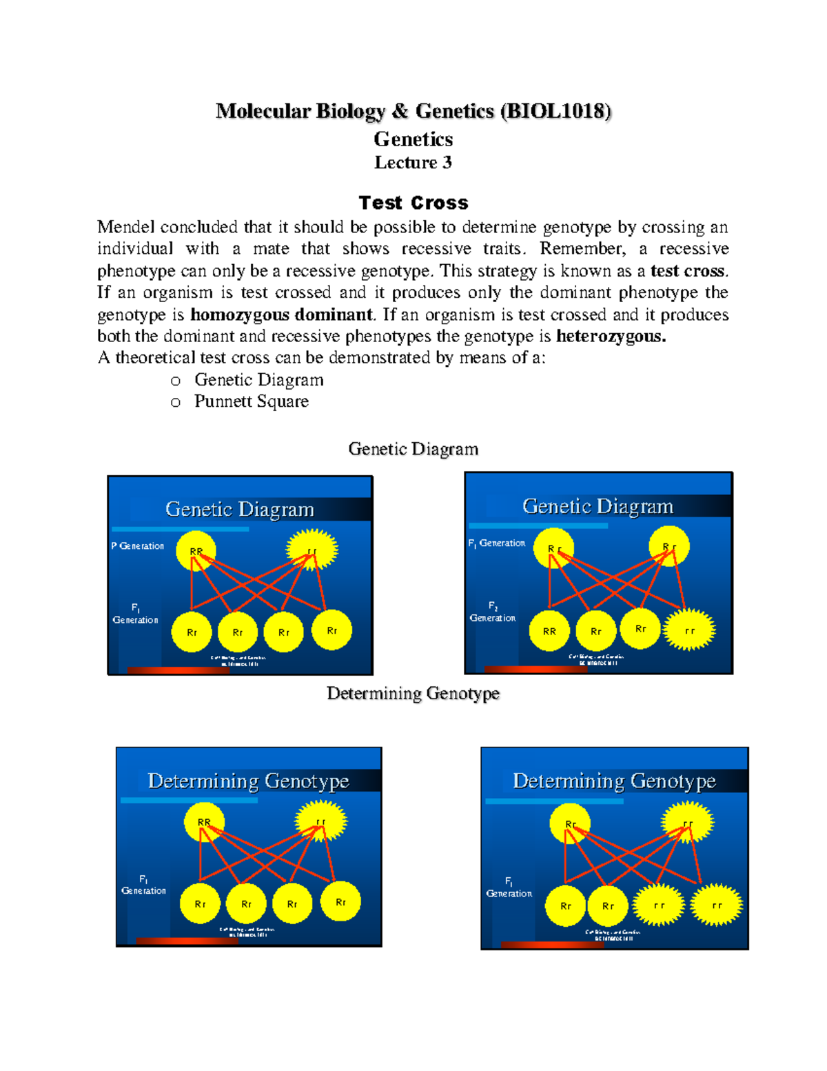 Genetic Interactions and Modifications in Gene Expression (BIOL1018 ...