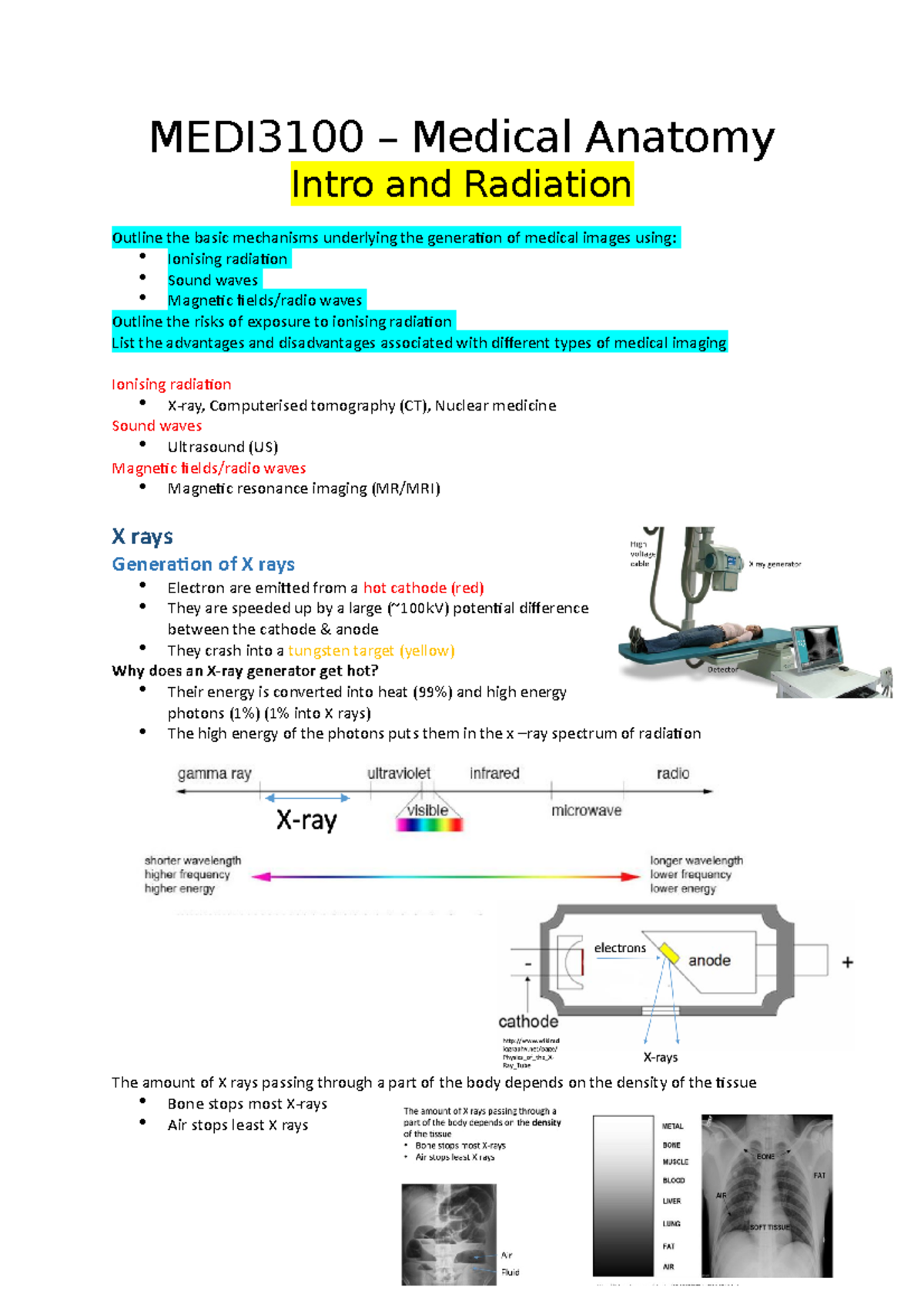MEDI3100 Final Exam Notes - Medical Anatomy and Imaging Techniques ...