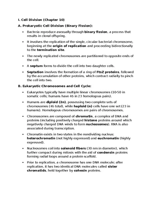 DNA Replication - Study Notes & Assignments - Studocu