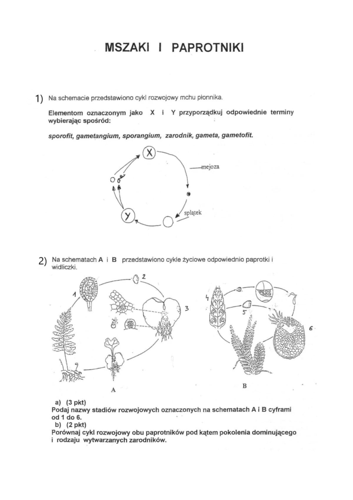 Sprawdzian Diagramy I Wykresy3 Gimnazjum www.studocu.com