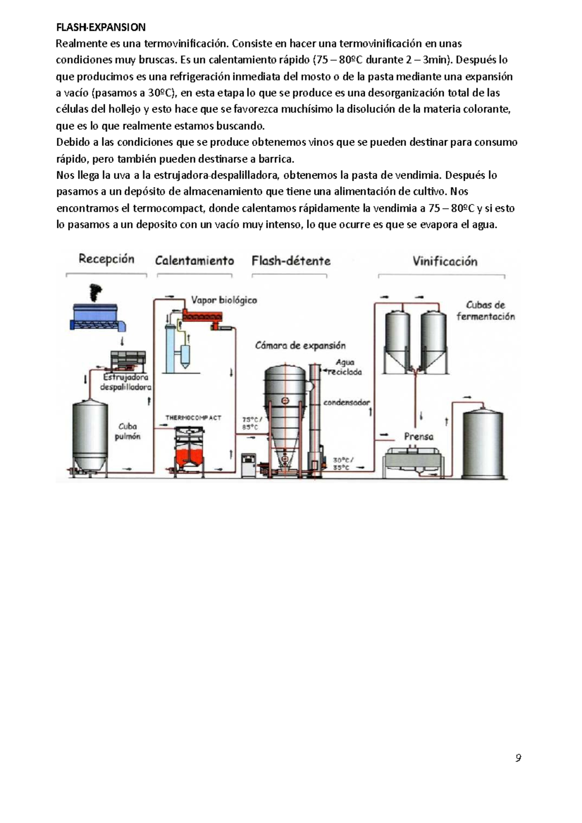 Tema 11 y 14: Apuntes sobre Termovinificación y Vinos Espumosos - Studocu