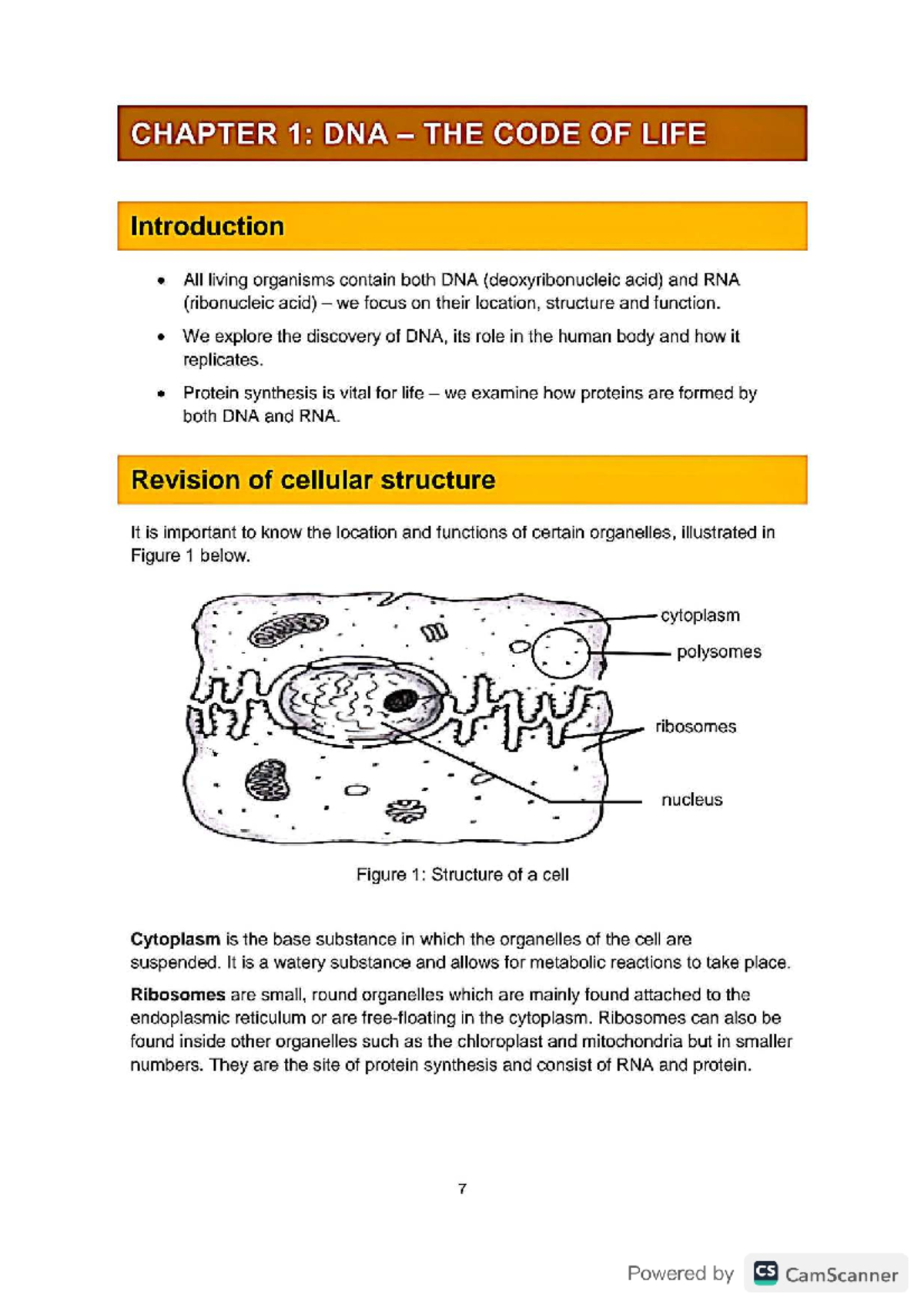 LIFE SCIENCES GRADE 12: CHAPTER 1 - DNA: THE CODE OF LIFE NOTES - Studocu