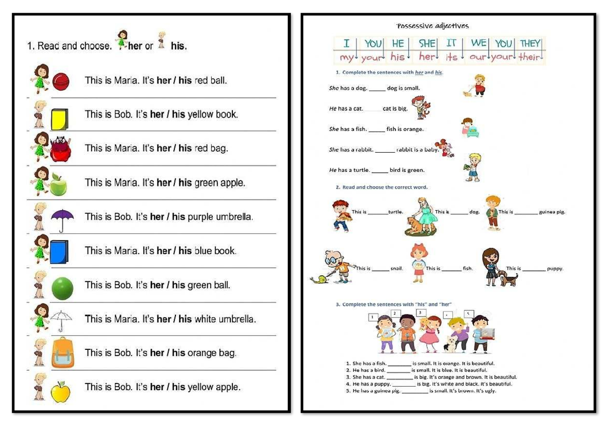 Possessive adjectives practice exercises for material 8 - trabajo - Studocu