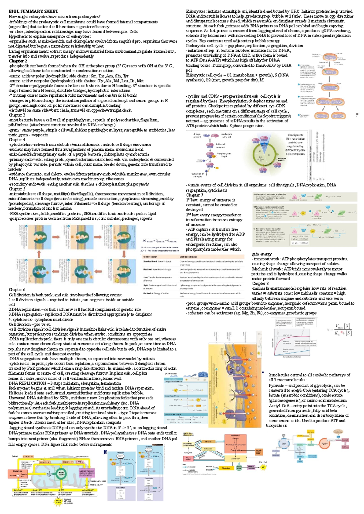 BIOL 101 Summary Sheet: Eukaryotic Evolution and Cell Biology Concepts ...