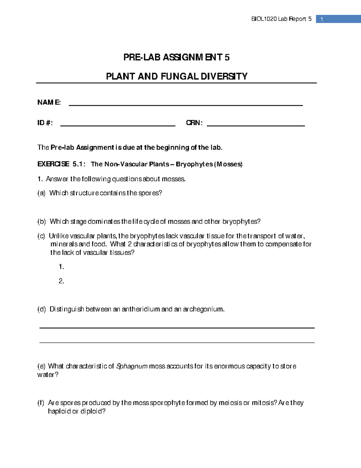 Lab 5-Pre-Lab Assignment - PRE-LAB ASSIGNMENT 5 PLANT AND FUNGAL ...