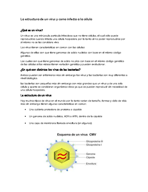 Significado del Escudo de la UG: Simbolismo y Heráldica - Studocu