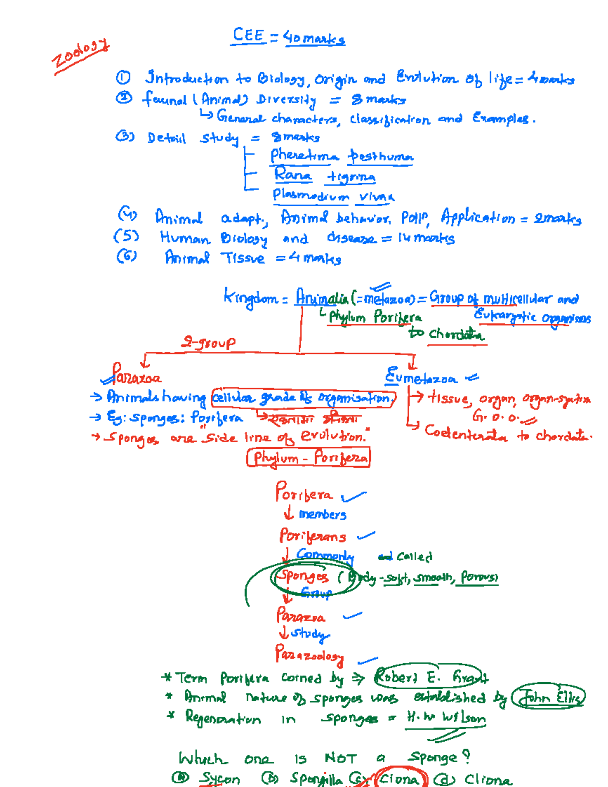 Biology Exam Notes: CEE 40 Marks - Phylum Porifera and Cnidaria - Studocu