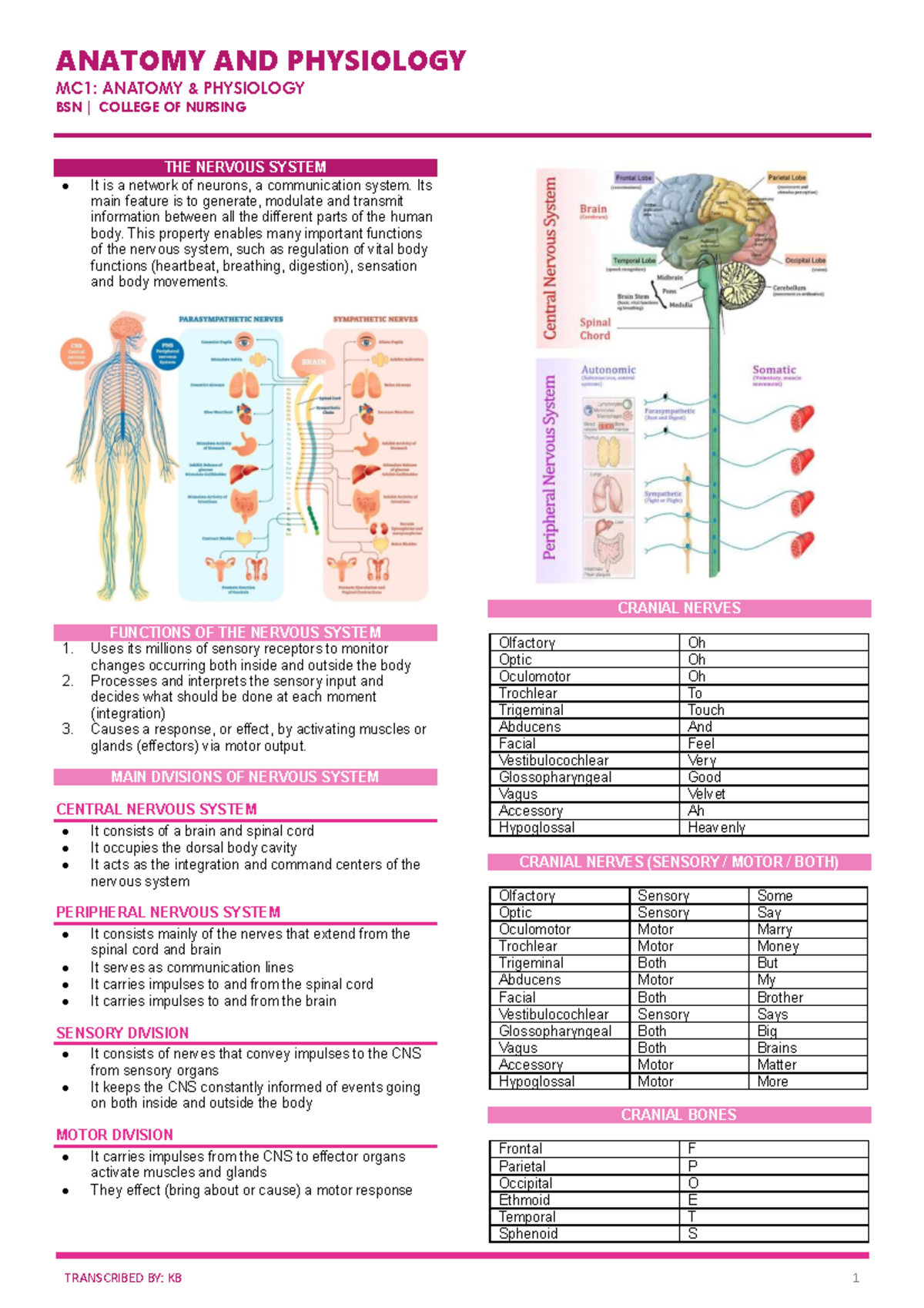ANAPHY 02: Overview of Human Body Systems and Functions - Studocu