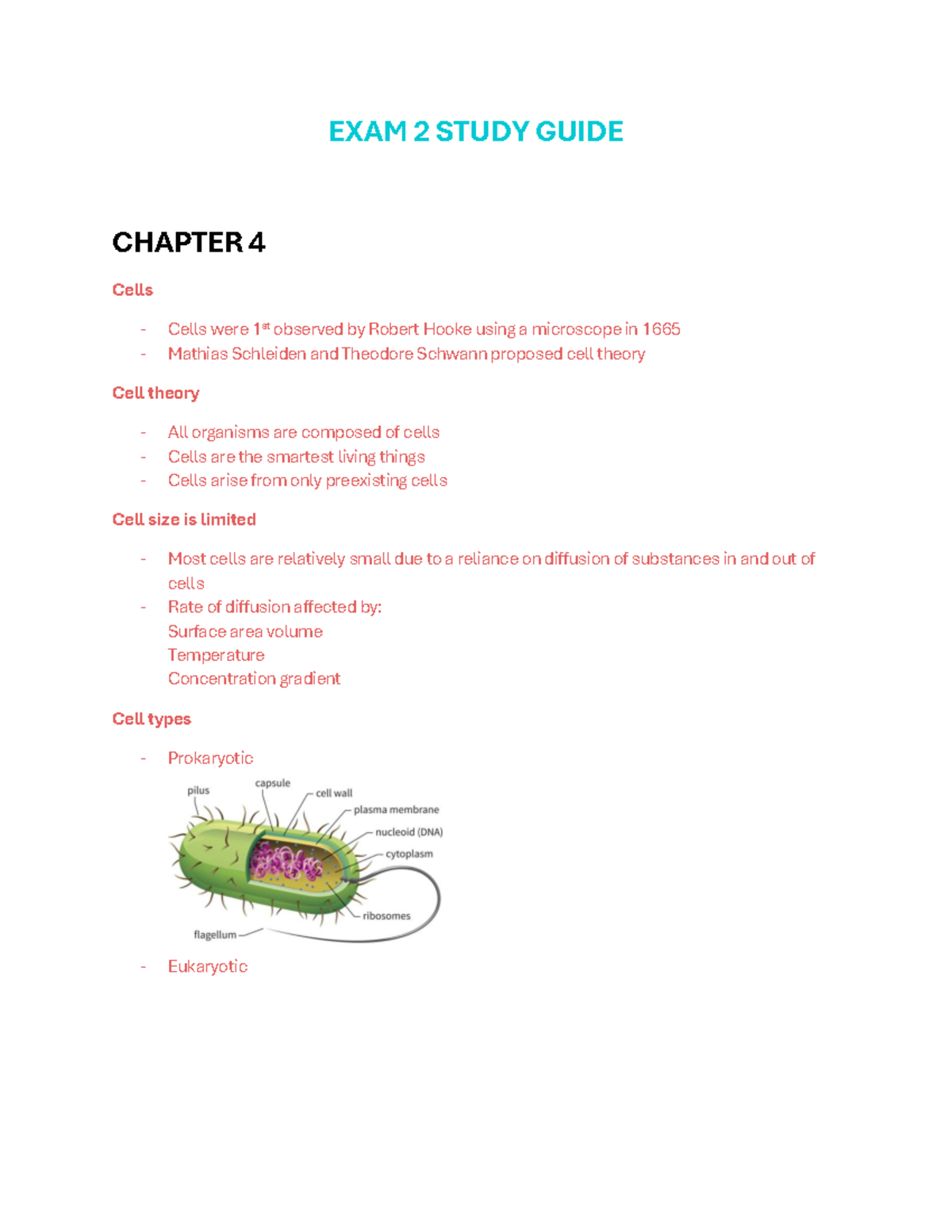 Biology 101 Exam 2 Study Guide: Cell Structure & Chemical Properties ...