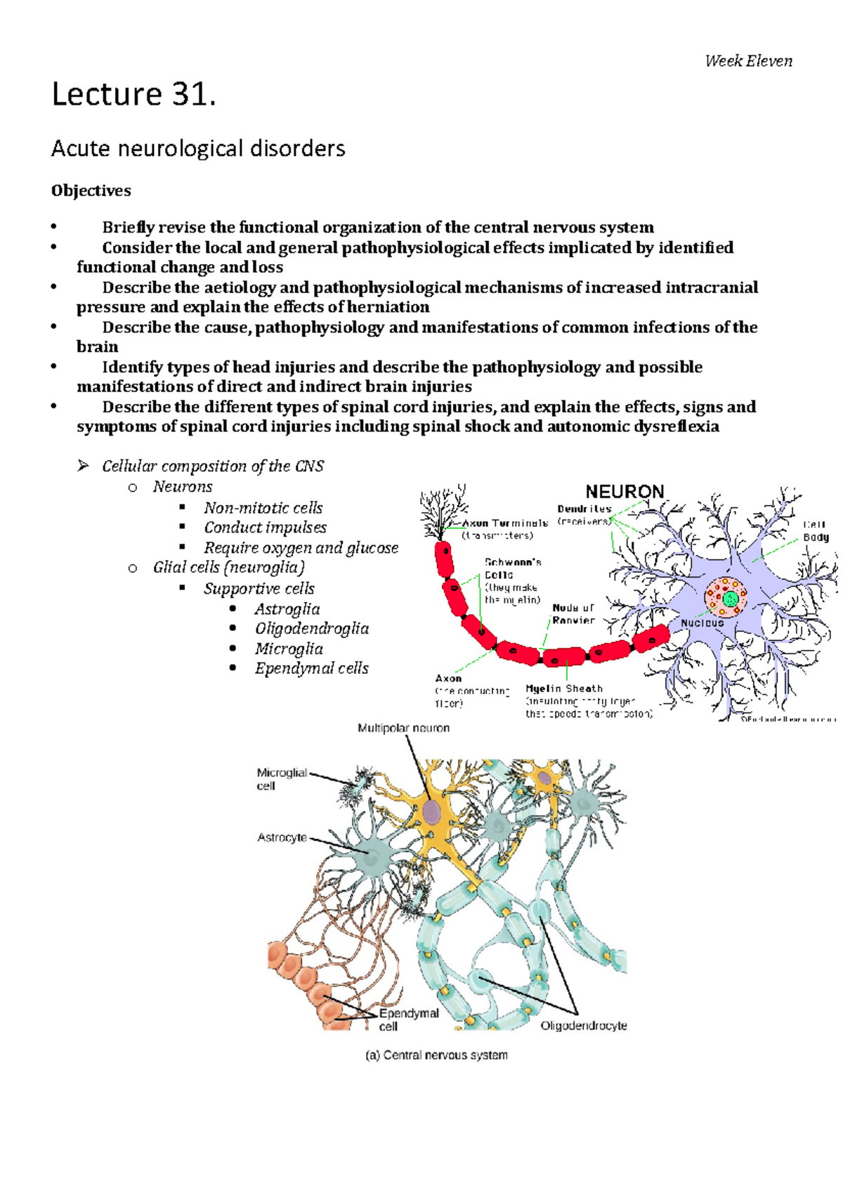HUBS2505 Lecture 31 - Summary Notes - Lecture 31. Acute neurological ...