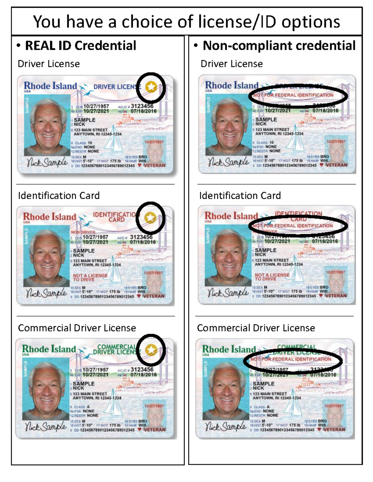 View Sample REAL ID Licenses and IDs - Political Science - You have a ...