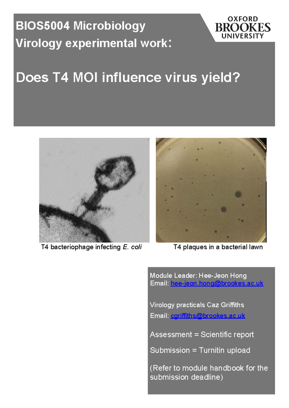 Virology experiment 2024-25 printer - T4 bacteriophage infecting E ...