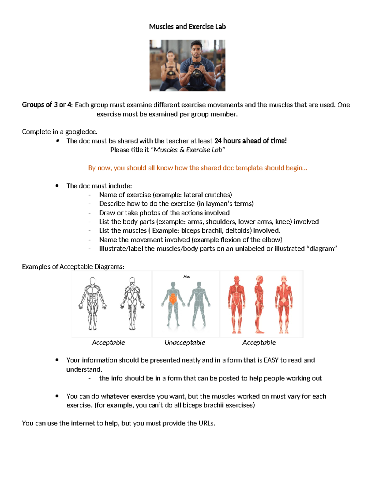 Muscles & Exercise Lab 23: Group Project Guidelines and Requirements ...