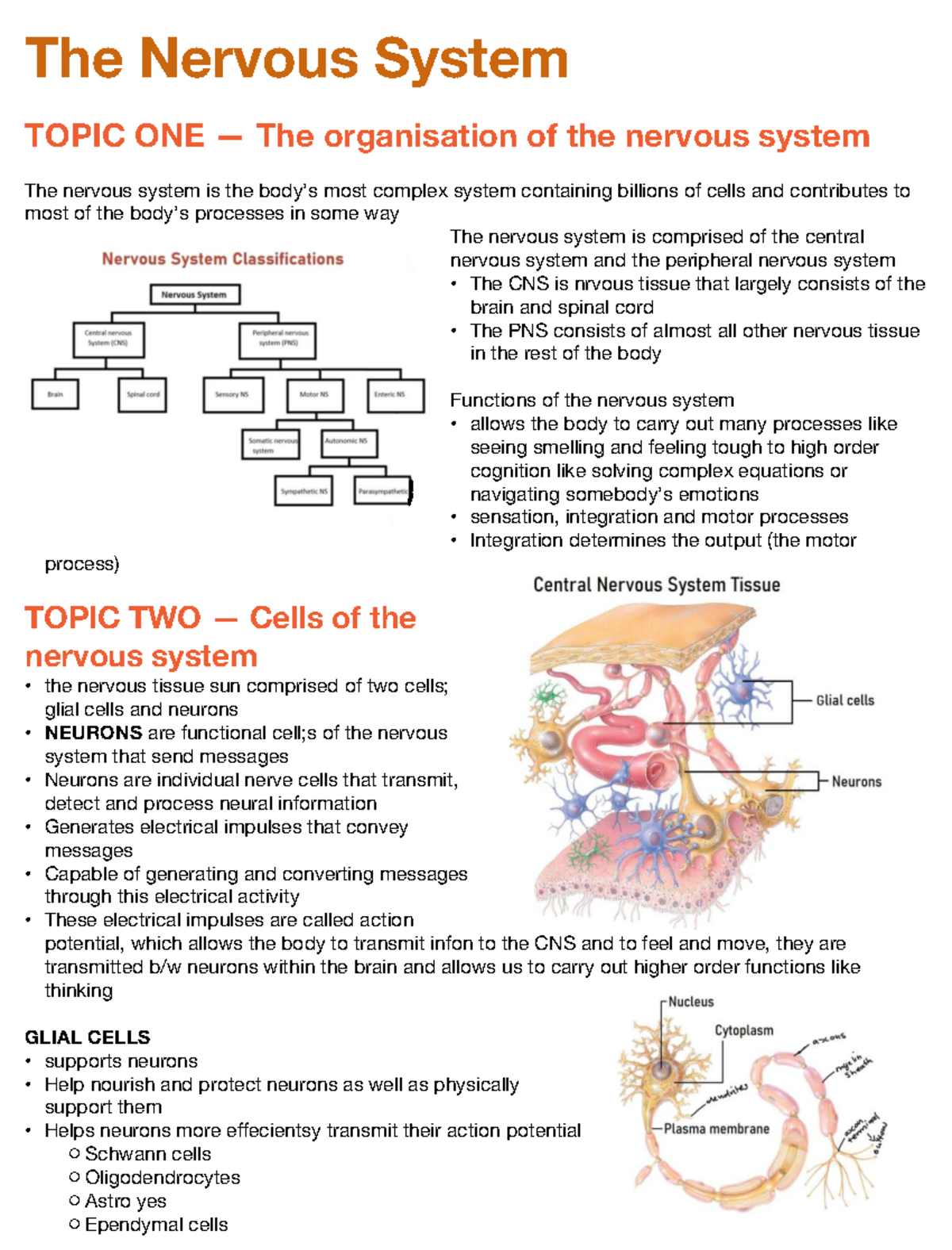 Module 2: The Nervous System - Comprehensive Overview and Key Concepts ...