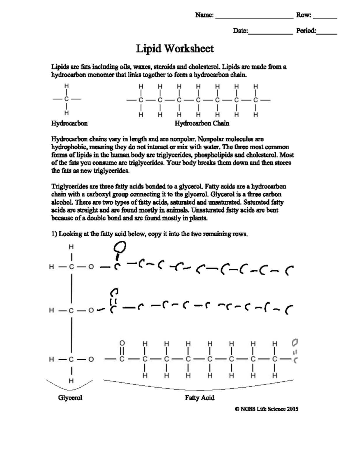 Lipid worksheet - Fein - FIN2001 - iii P i r r c r r tail ...