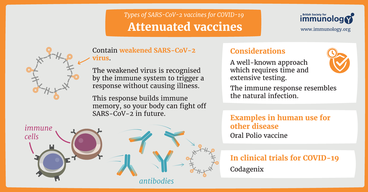 5 main types of Covid Vaccines - Attenuated vaccines immunology Contain ...