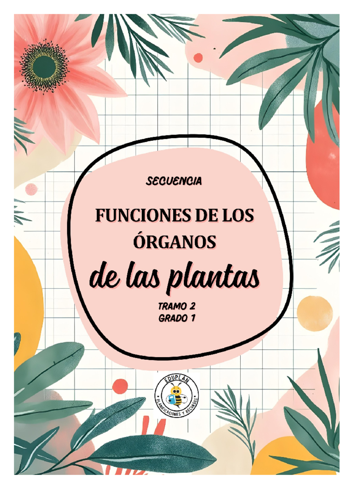 Secuencia Didáctica: Funciones de los Órganos de las Plantas en Biología -  Studocu, image size:1200x1696