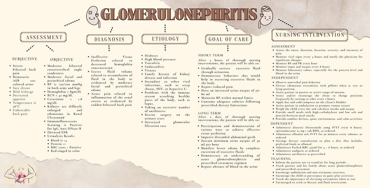 M6 Concept Map for Glomerulonephritis: Nursing Assessment ...