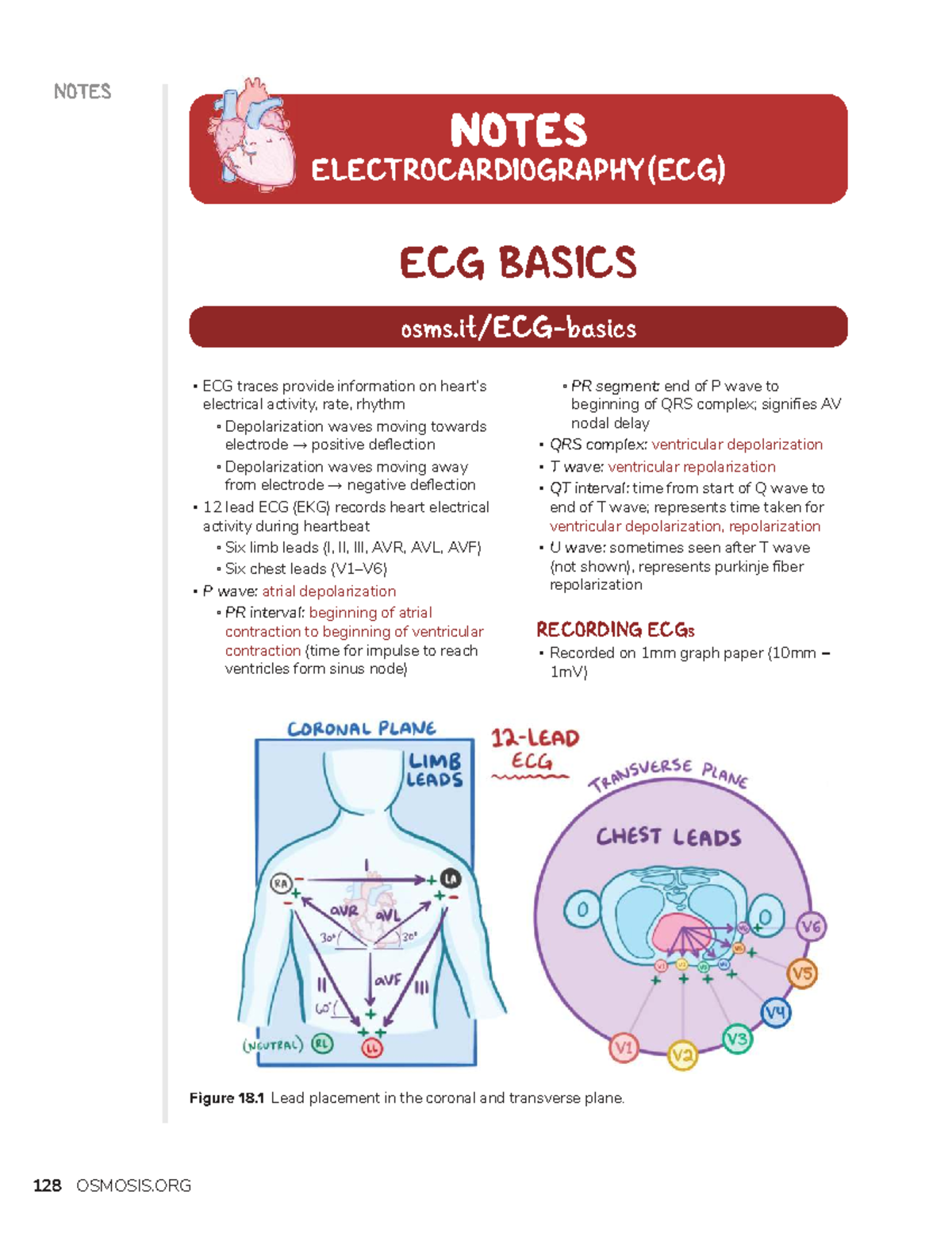 Electrocardiography (ECG) Basics: Key Concepts and Notes - Studocu